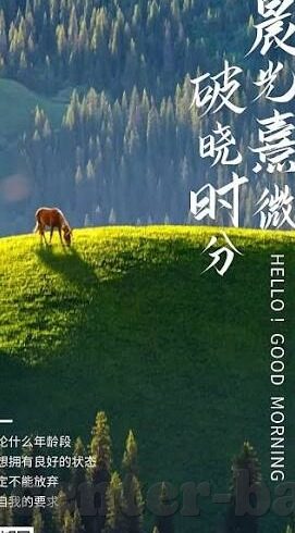 麻豆艾秋视频传媒-麻豆艾秋，聚光影视之春的创意力量