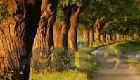 人妻不伦旅行-探索人妻不伦旅行的背后，爱与道德的微妙平衡